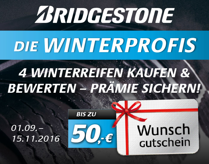 Bridgestone Winterprofi