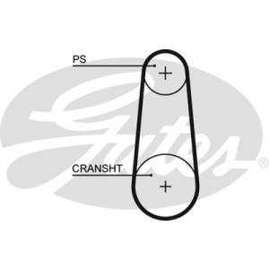 PowerGrip®, Correia, Correia dentada
