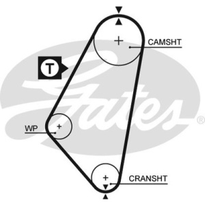 PowerGrip®, Correia, Correia dentada