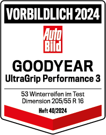auto-bild-2025-GoodyearEagleF1Asymm-6-test-winner