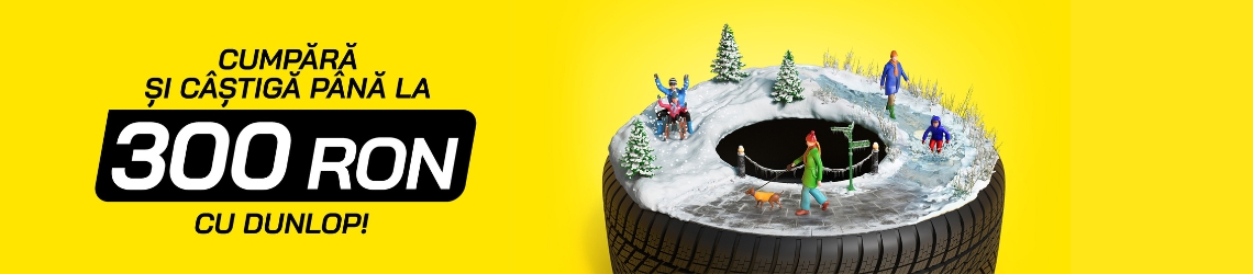 Dunlop Winter_Sell