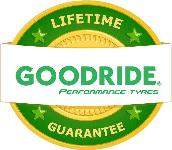 Pneu Goodride 205/55 R16 91V 3PMSF, Z401