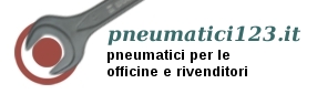 pneumatic123