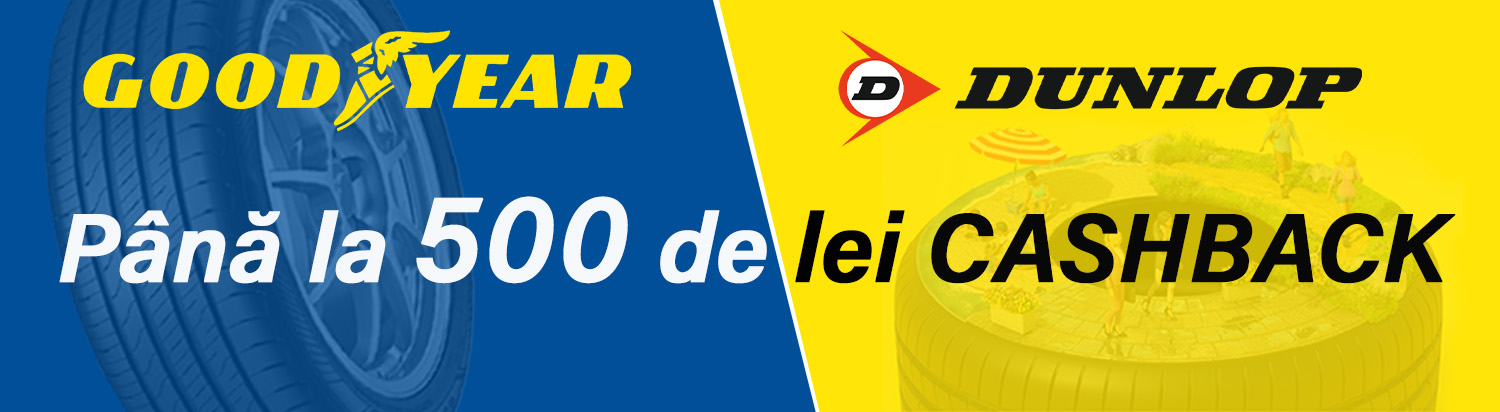 Goodyear&Dunlop 