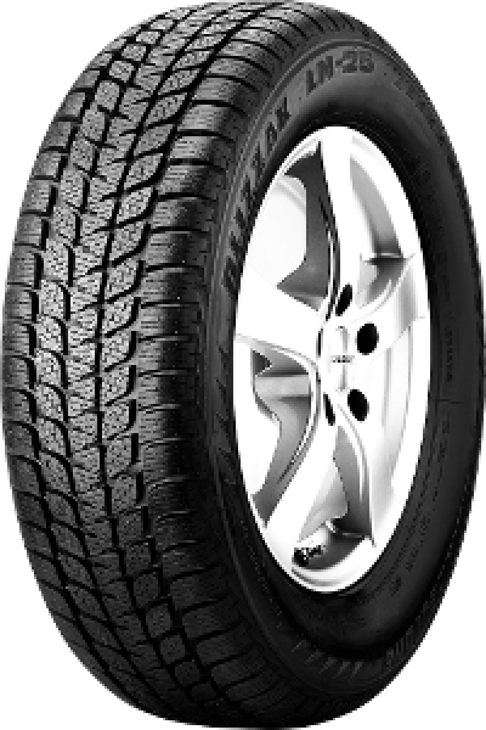 Bridgestone Blizzak LM-25 4×4 EXT ( 255/50 R19 107H XL runflat MOE )