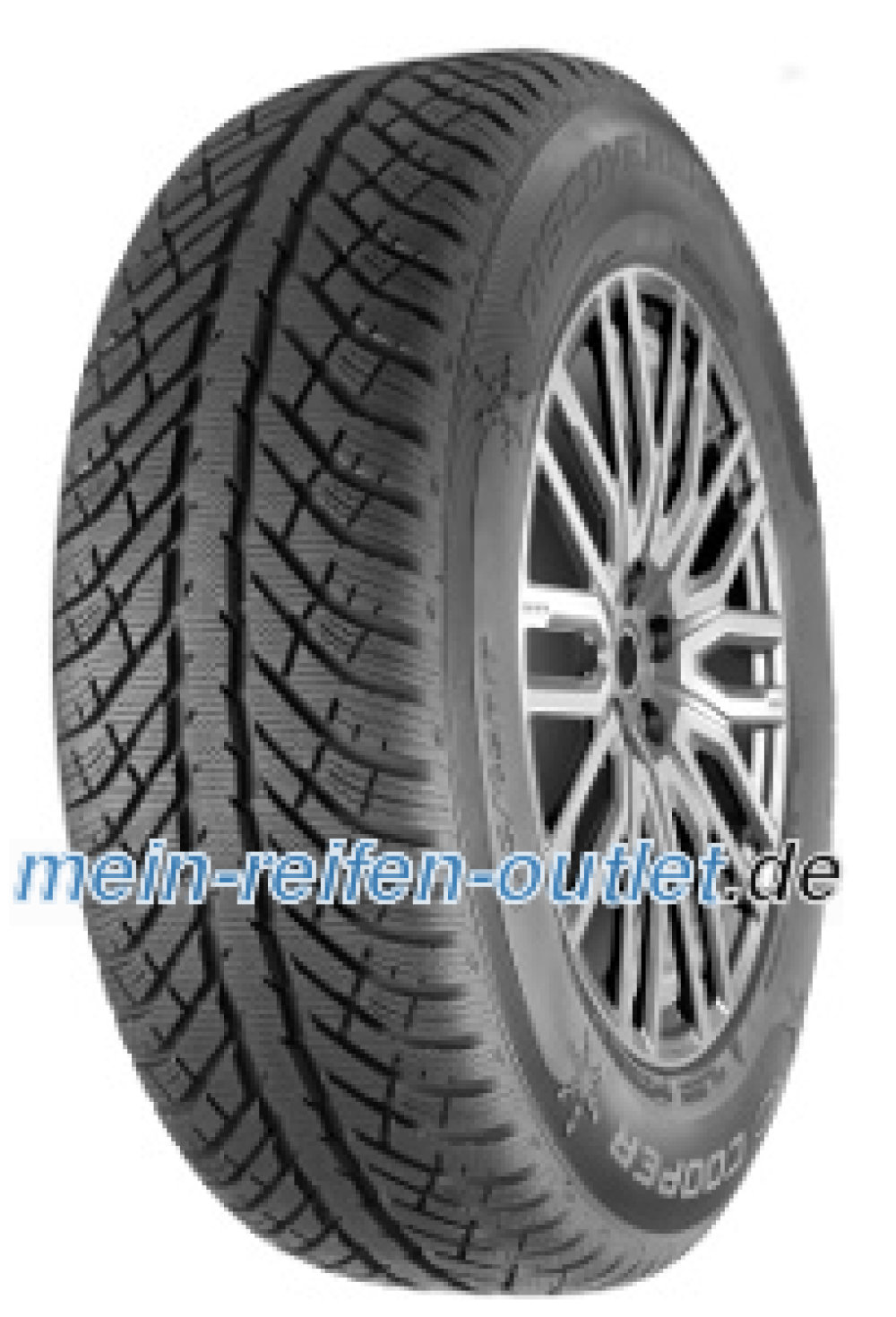 Cooper Discoverer Winter ( 295/35 R21 107V XL , mit Felgenhornschutz ) Cooper Discoverer Winter ( 295/35 R21 107V XL , mit Felgenhornschutz )