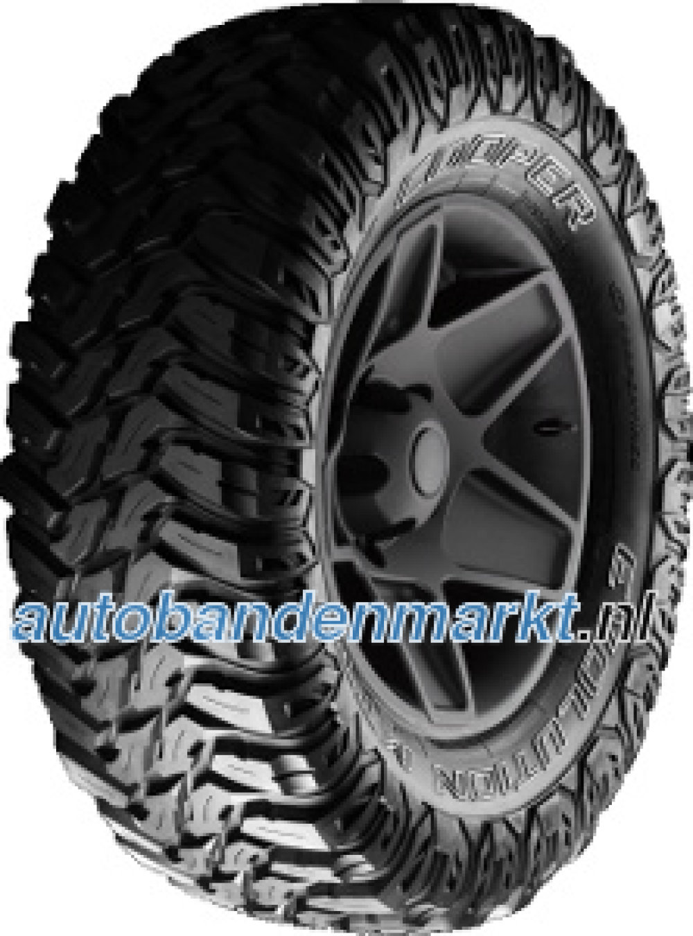 Afbeelding van Cooper Evolution MTT ( LT245/75 R16 120/116Q 10PR, POR )