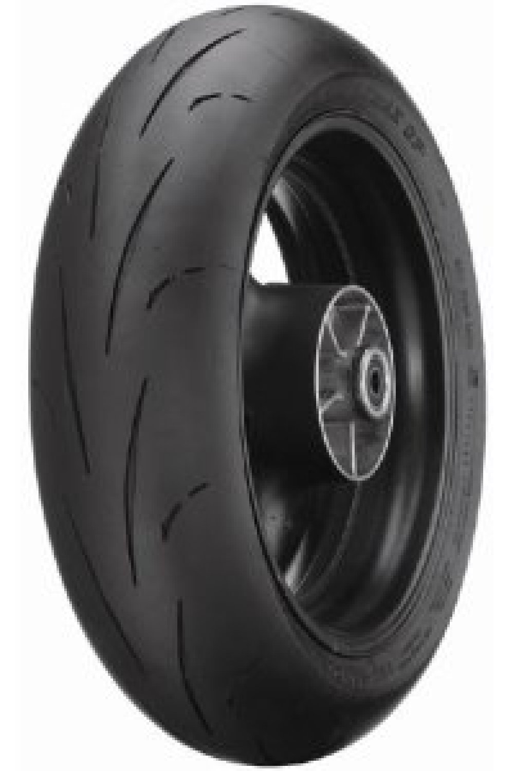 Sportmax GP Racer D211 E ( 190/55 ZR17 TL (75W) Endurance, bakhjul, M/C )