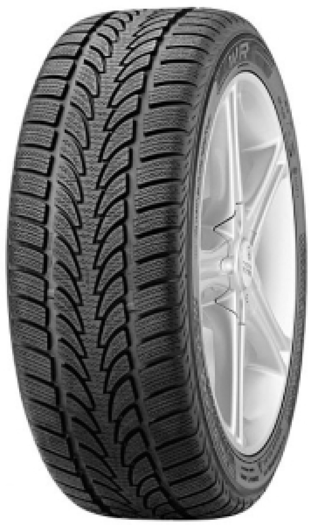 Nokian WR ( 295/30 R19 100V XL N0 )