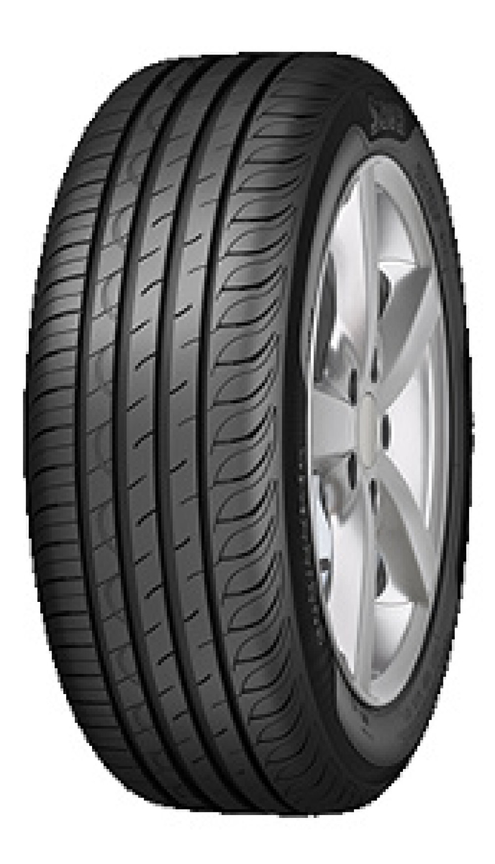 Image of Sava Intensa HP2 ( 205/60 R16 96V XL )