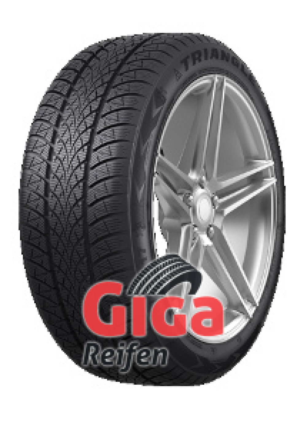 Triangle Effex Winter TW421 255/35 R20 97W, Mit Felgenschutzleiste (Fsl)