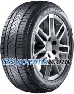 Milever MW255 Winter-Max A1