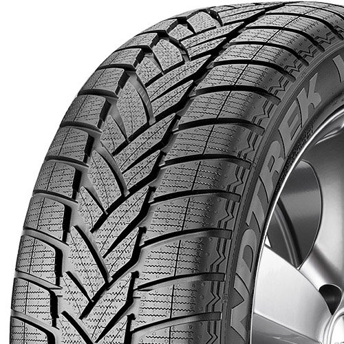 EAN 5452000816061, DUNLOP GRANDTREK WT M3 MO, 265/55 R19 109 H