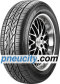 Sunny SN600 205/60 R15 91V BSW
