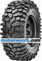 ML7 Roxxzilla