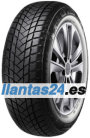 GT Radial WinterPro2