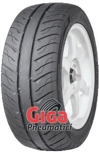 Accelera 351 Sport GD