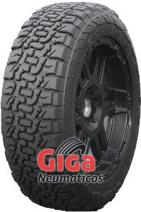 Accelera Omikron CT
