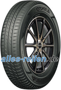 Altenzo Sports Equator 2