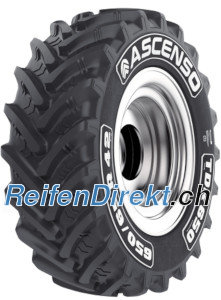 Ascenso TDR 650