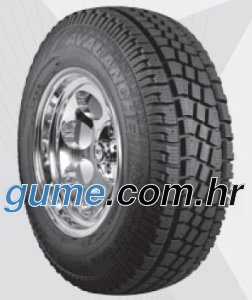 Avalanche&nbsp;X-treme