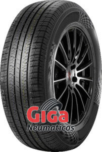 Berlin Tires Royalmax 1