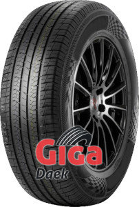 Berlin Tires Royalmax 1