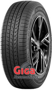 Berlin Tires Summer HP 2