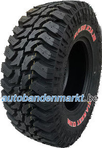 Black Bear&nbsp;M/T