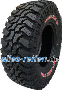 Black Bear&nbsp;M/T