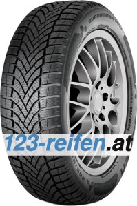 Falken EUROWINTER HS02