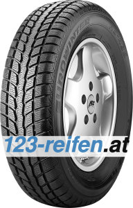 Falken EUROWINTER HS435