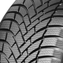 Fortune Nivalis Winter Pro