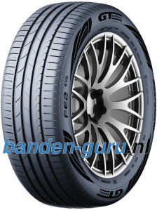 GT Radial FE2 Evo