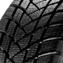 GT Radial WinterPro2