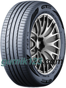 GT Radial FE2 Evo