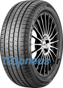 Goodyear Eagle Sport All-Season ROF ( 255/55 R19 111H XL AOE, runflat )