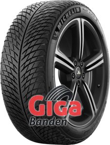 Michelin Pilot Alpin 5 ZP