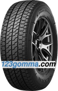 Nexen N blue 4 Season Van