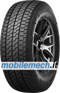 Nexen N blue 4 Season Van