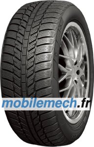 RoadX WH01