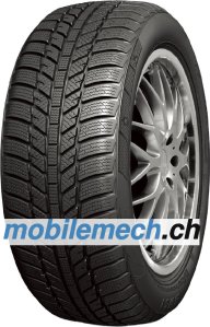 RoadX WH01