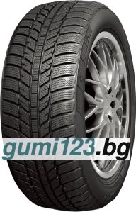 RoadX WH01