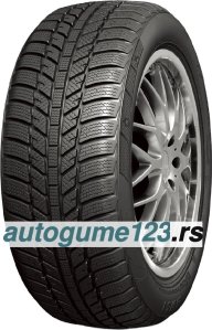 RoadX WH01