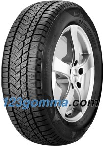 Sunny Wintermax NW211