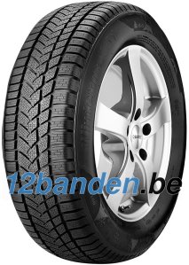 Sunny Wintermax NW211