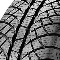 Sunny Wintermax NW611