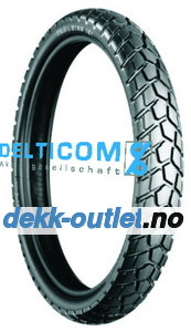 Bridgestone TW101