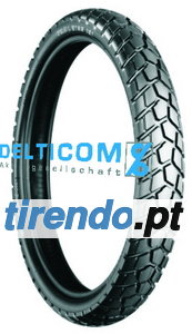 Bridgestone TW101