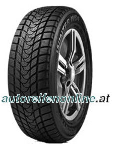 Delinte WD1